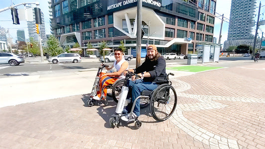 Cheelcare Has a Record Month of Sales and Celebrates Milestone of 2,000 Companions Sold